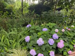 -成都市活水公园