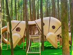 -山王坪喀斯特国家生态公园