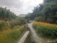 -宁波浙东大竹海景区