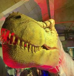 -恐龙探索乐园(磁器口店)