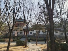 -迎泽公园