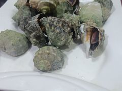 -鑫渔港海鲜本地菜·山海关浑锅(东戴河店)
