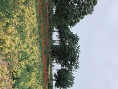 -汉长安城未央宫国家考古遗址公园