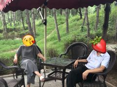 -黄帝陵