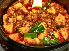 -陈麻婆豆腐总店