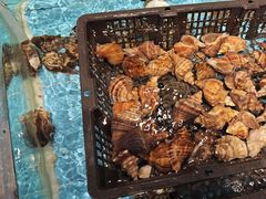 -盆满钵满·国家非遗传承(云台店)
