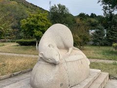 -北京十三陵国家森林公园蟒山景区
