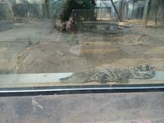 -石家庄市动物园