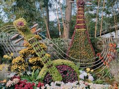 -杭州植物园