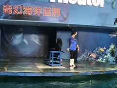 -苏州海洋馆