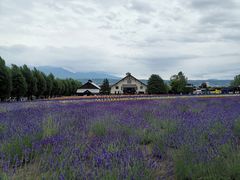 -富田农场