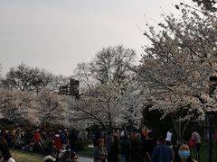 -堤角公园