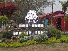-麻小度青花椒鱼(安德总店)