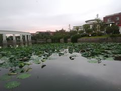 -扬州大学扬子津校区润园餐厅