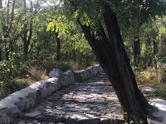 -阳台山自然风景区