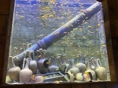 -新加坡水上探险乐园