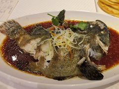清蒸青斑鱼-双井轩(双井店)