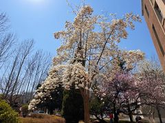 -大连理工大学(凌水校区)