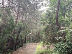 -玻璃桥景区石牛寨