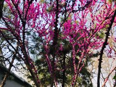 -玲珑塔公园