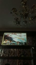 -Miss Jane简·SPA