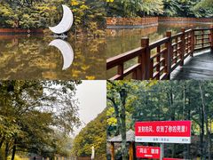-洛阳白云山景区