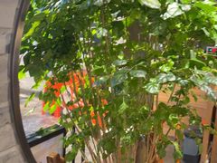 -真地道京味府·鲜橙烤鸭·北京菜(朝外大街东大桥店)