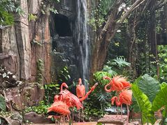 -长鹿旅游休博园