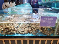 -都市阳光海鲜城(青山湖店)