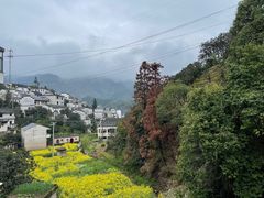 -新安江山水画廊风景区