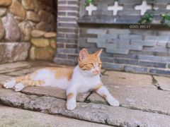 -龙华寺