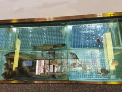 -顺峰顺水顺德菜(龙华店)