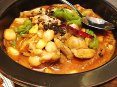 黑松露牛肝菌焖牛蛙-云海肴·汽锅鸡·云南菜(苏州中心店)