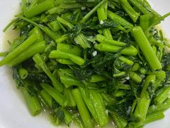 -全乐鱼馆·淳牌有机鱼直营店