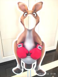 -武汉泛海费尔蒙酒店·宴会厅