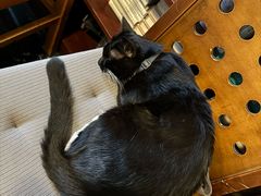 -旧天堂书店(华侨城创意文化园南山特色文化街区店)