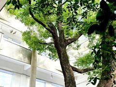 -湖北美术学院(昙华林校区)