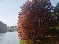-自然谷恐龙园