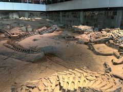 -自贡恐龙博物馆