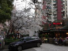 -玛格萝妮比萨屋(四平店)