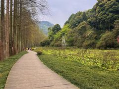 -青城山