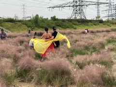 -王借岗森林公园