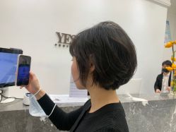 -YESIDO椰岛造型