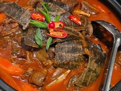 甲鱼羊肉火锅-湖锦酒楼·旗舰店(三阳总店)