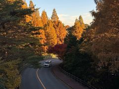 -神户市立六甲山牧场