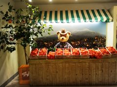 -济州岛泰迪熊博物馆