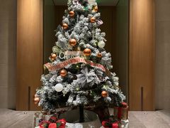 -北京康莱德酒店