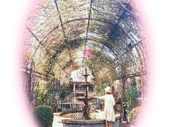 -The Grounds of Alexandria