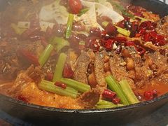 -老板恋上鱼(高新万达店)