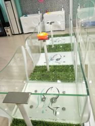 -鱼乐贝贝婴幼儿水育馆(星汇广场店)